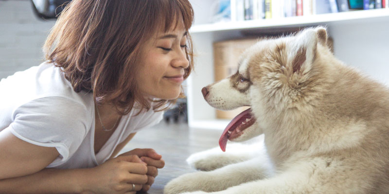 young woman with short brown hair lying on ground looking at husky puppy